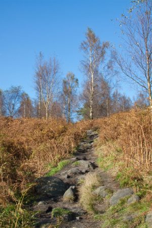 Farnhill Moor Ascent, Farnhill, Airedale, North Yorkshire