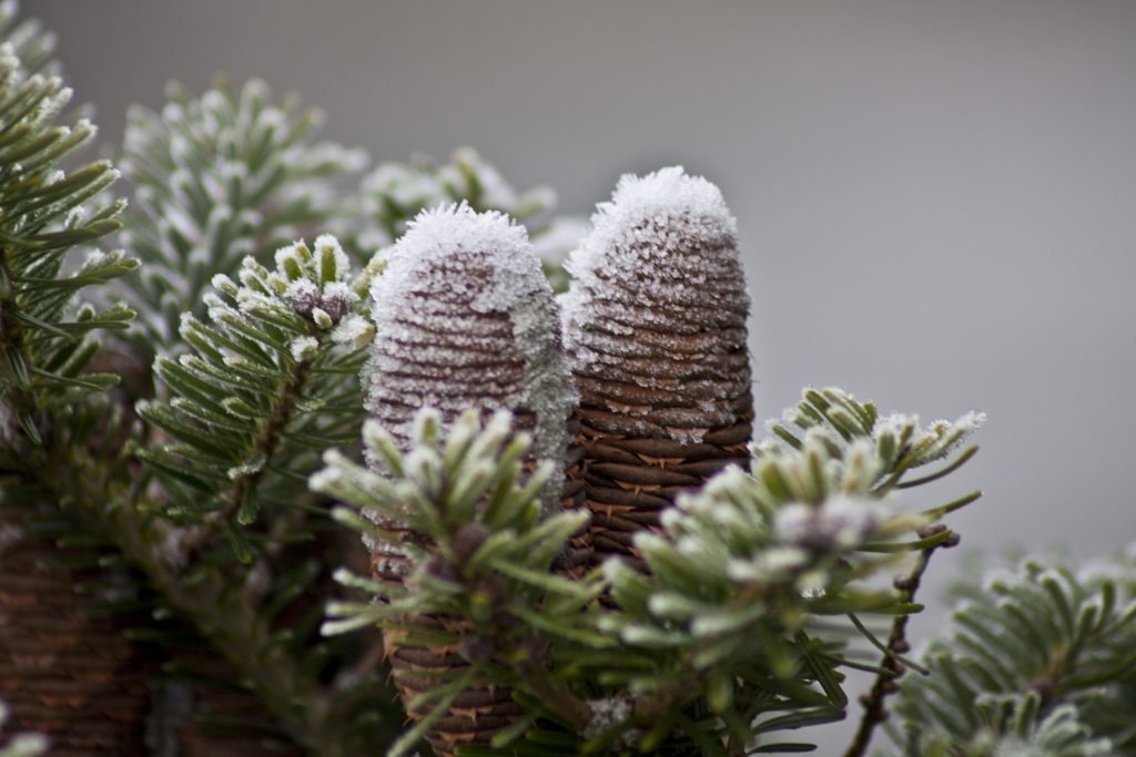 Upgraded Website and Expansion of Online Shop