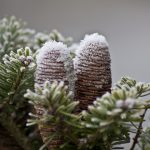 Upgraded Website and Expansion of Online Shop