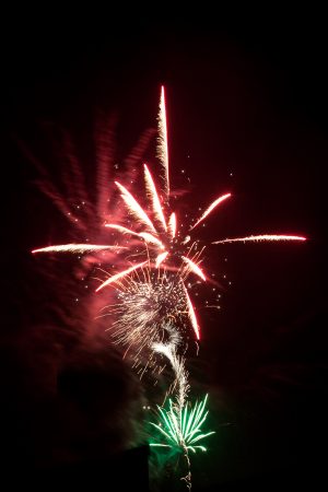 Fireworks Tree photography print