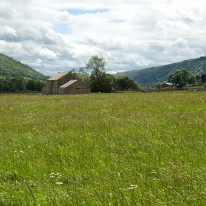 Wharfedale Barn and Meadow