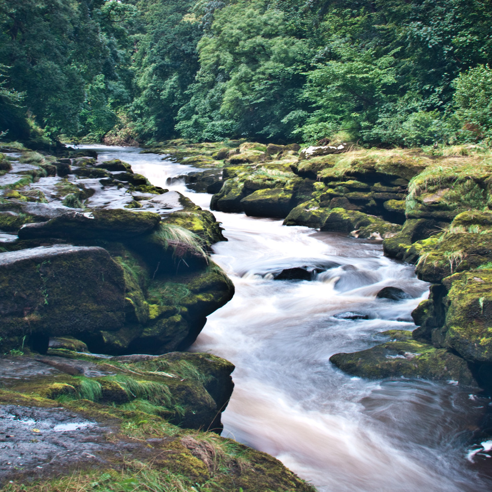 The Strid Bolton Abbey North Yorkshire Image available from online shop