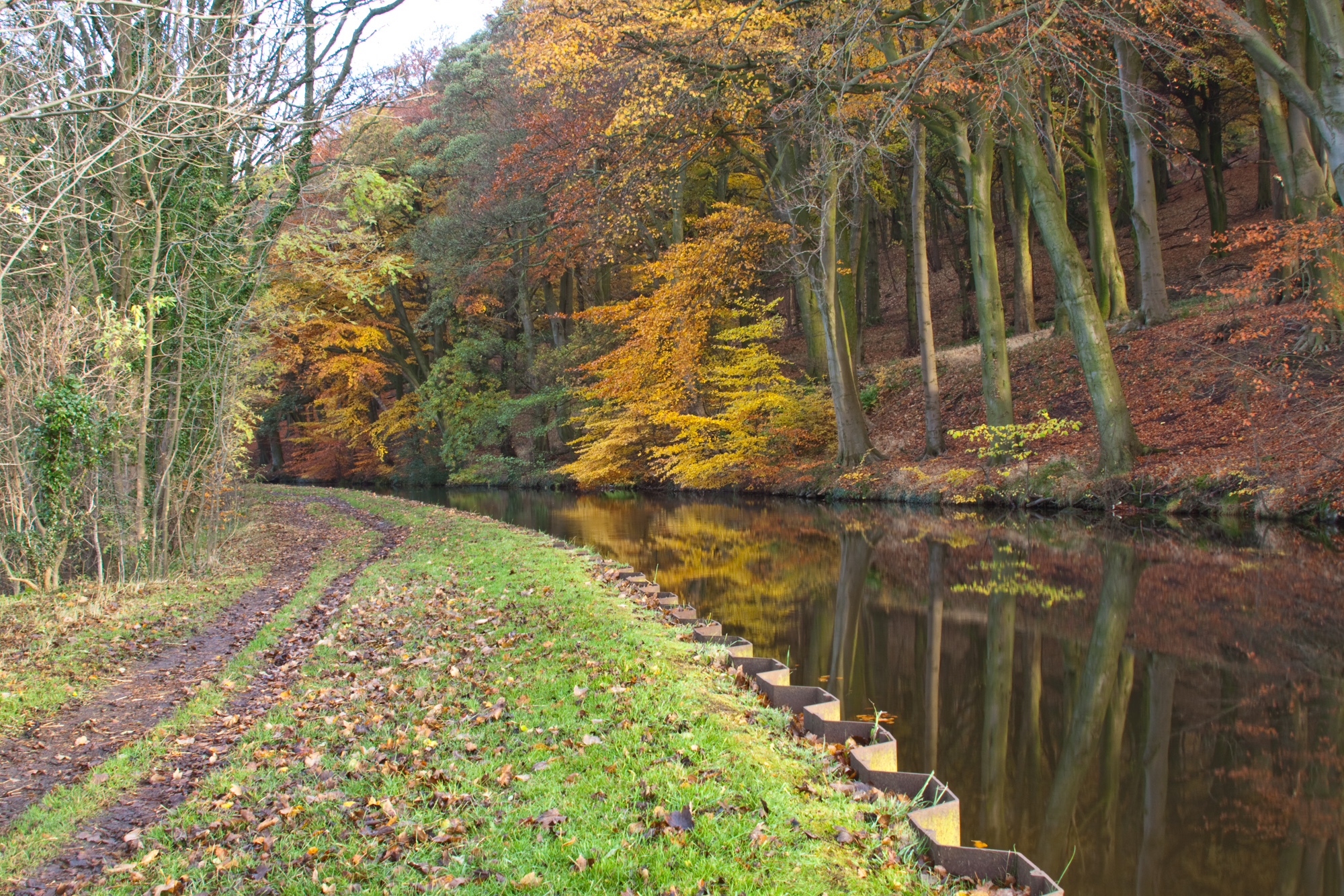 Canal, Autumn, Leaves, Trees, footpath,